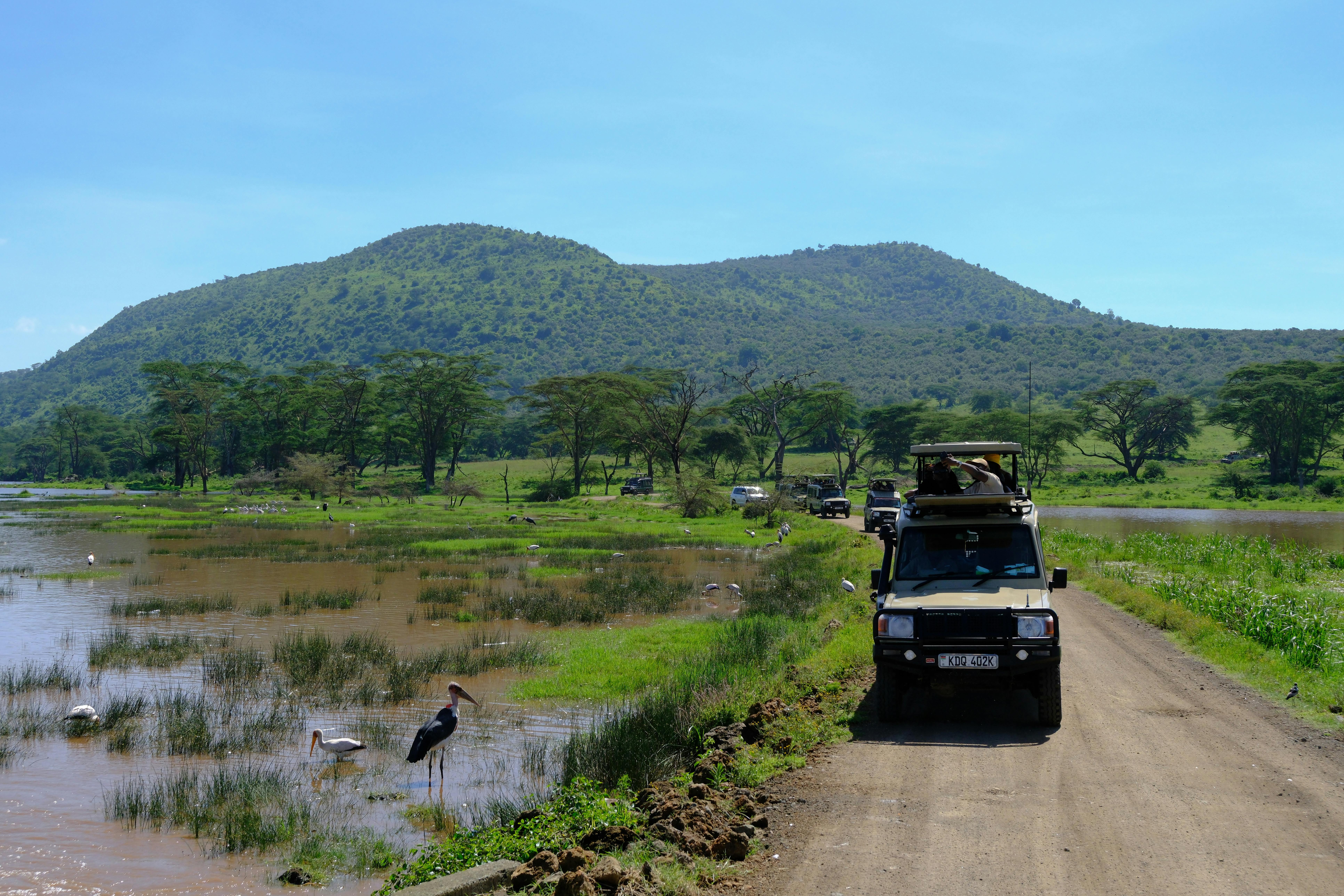 7 Days Safari